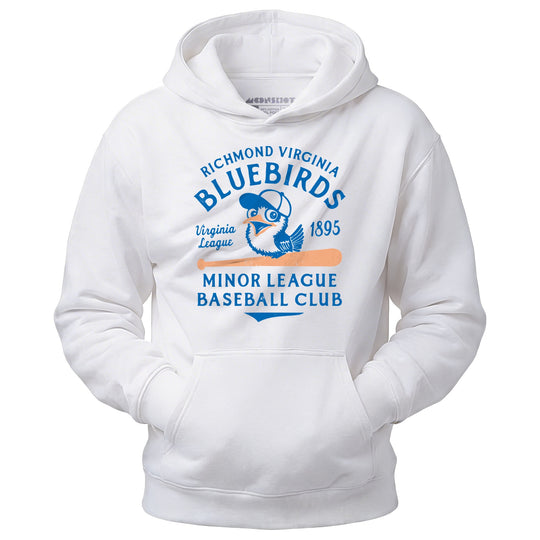 Richmond Bluebirds - Virginia - Vintage Defunct Baseball Teams - Unisex Hoodie