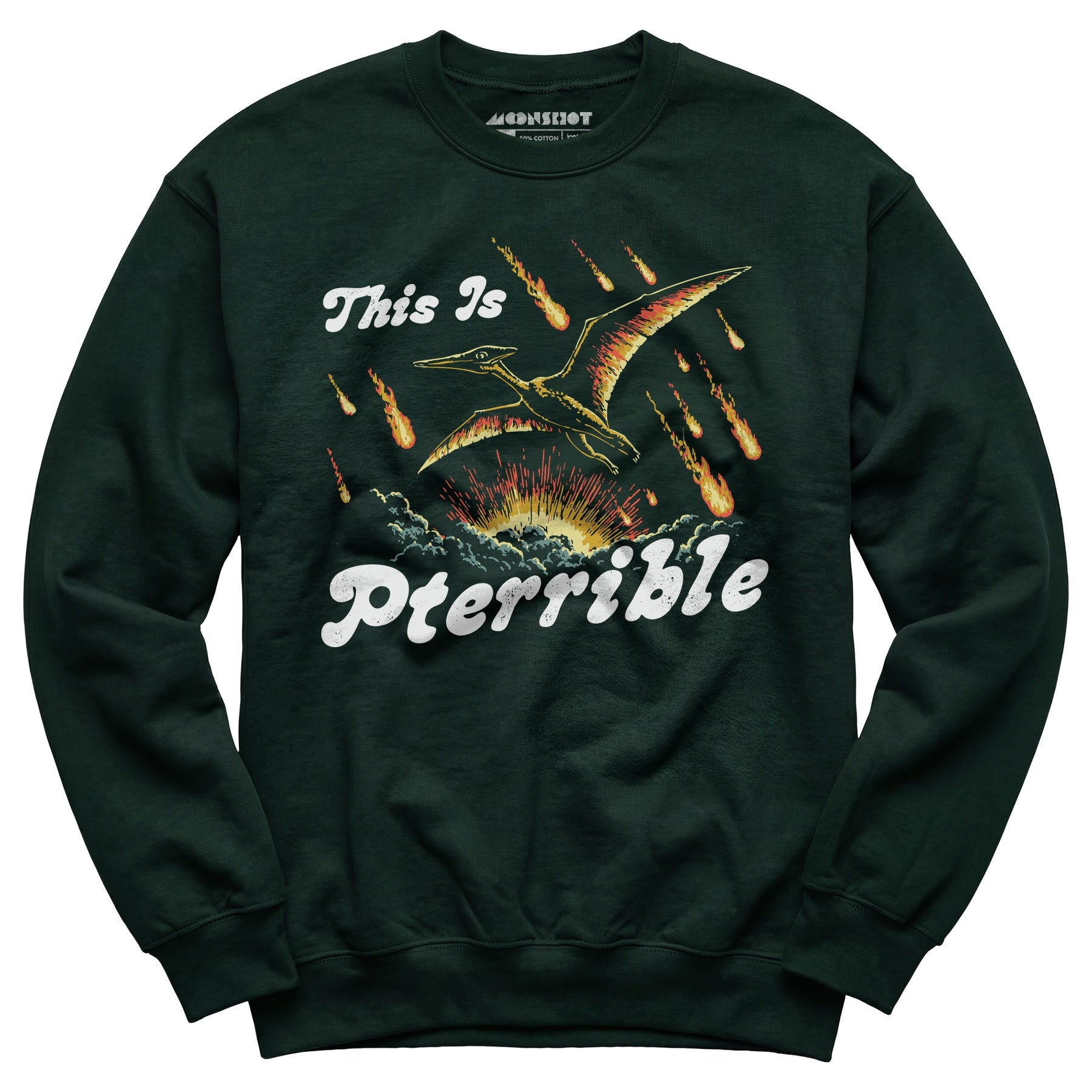 This is Pterrible - Unisex Sweatshirt