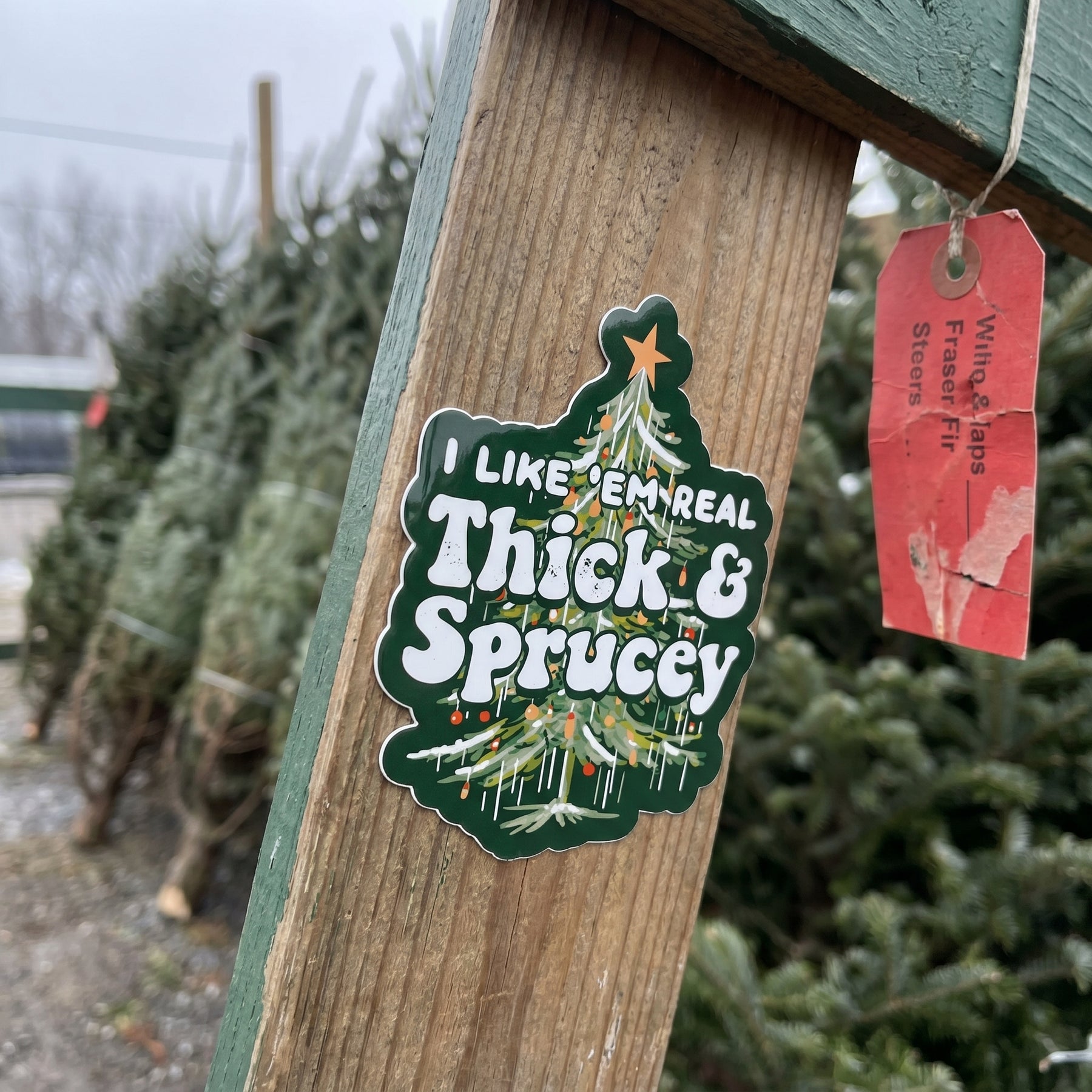 I Like em Real Thick and Sprucey - Sticker