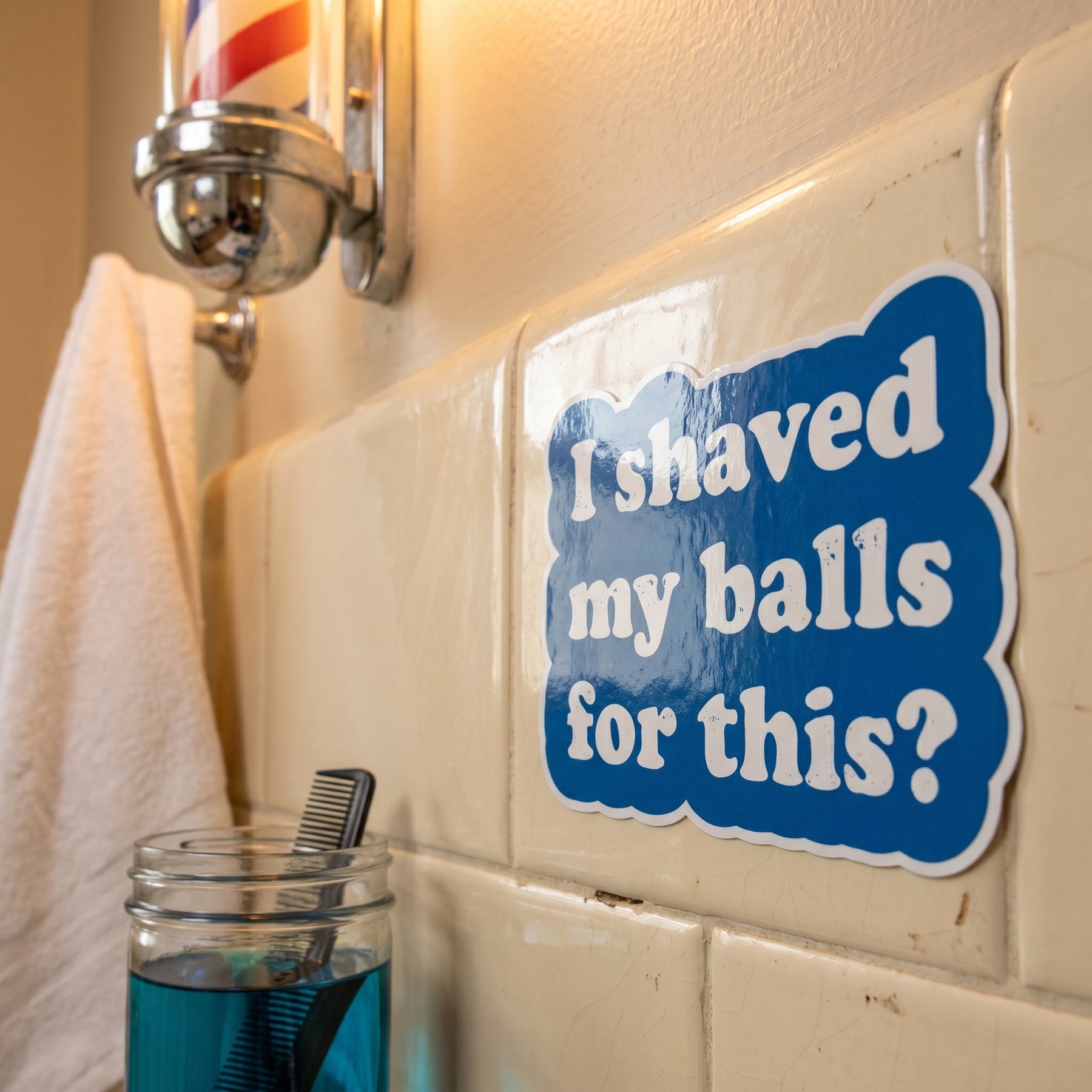 I Shaved My Balls For This - Sticker