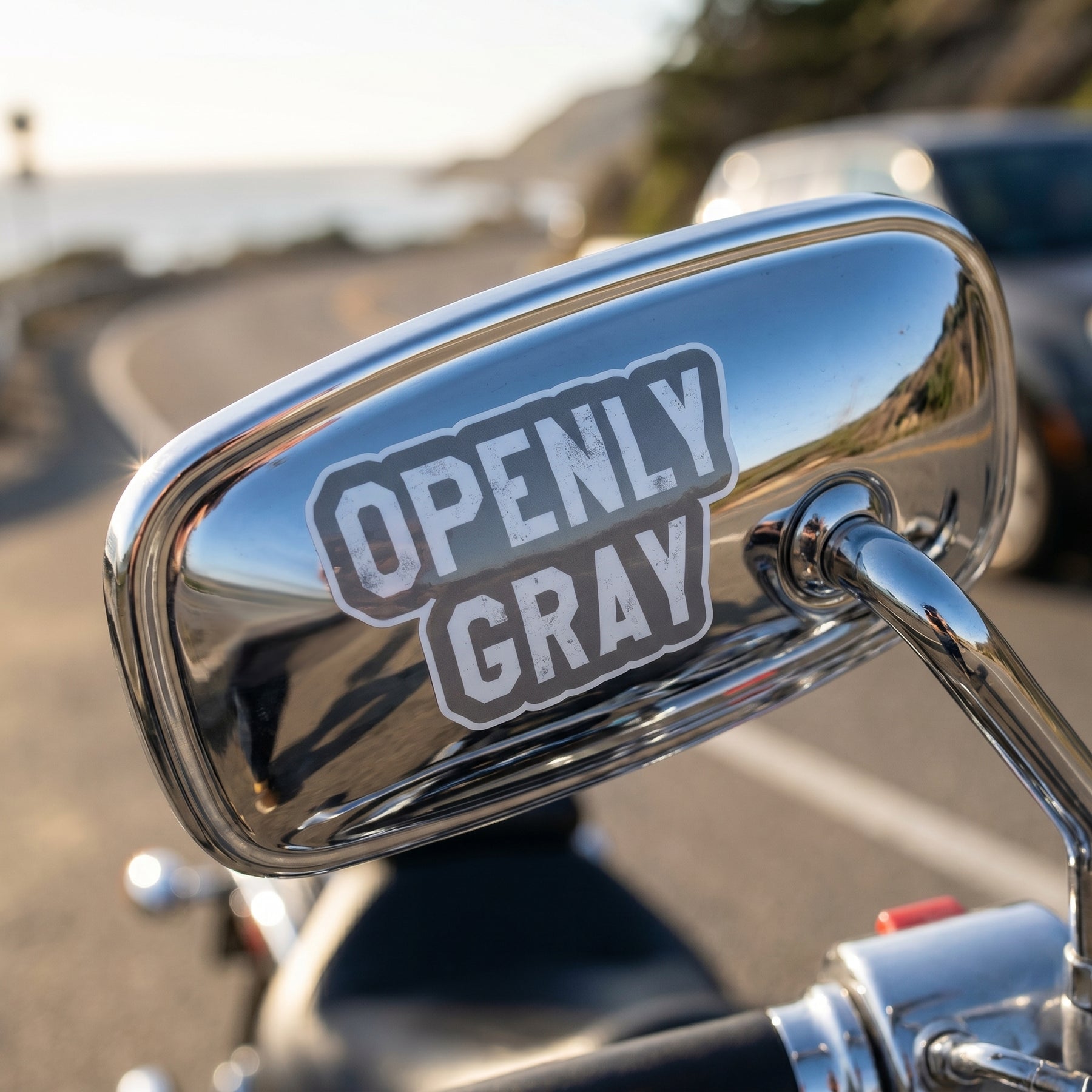 Openly Gray - Sticker