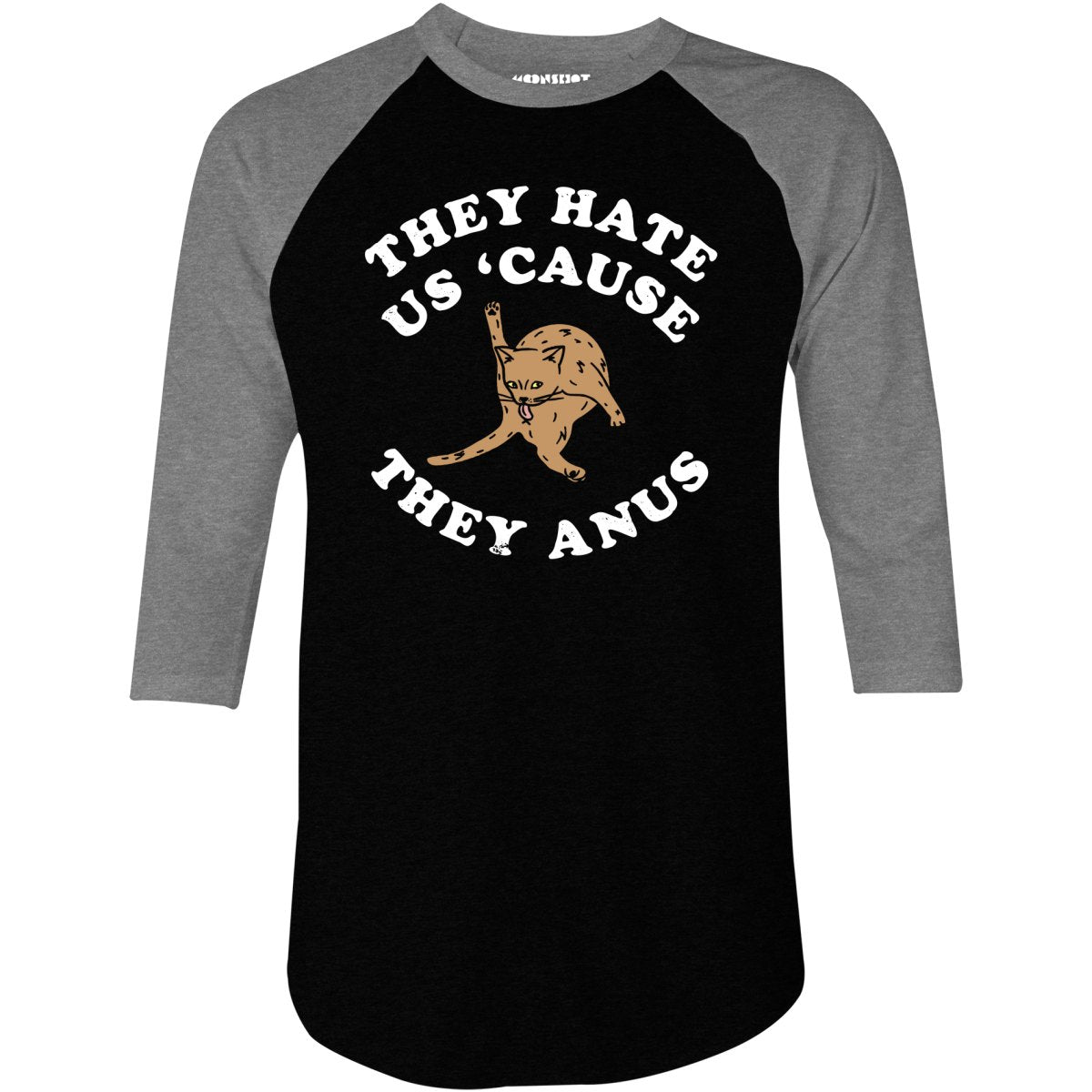 They Hate Us Cause They Anus - 3/4 Sleeve Raglan T-Shirt